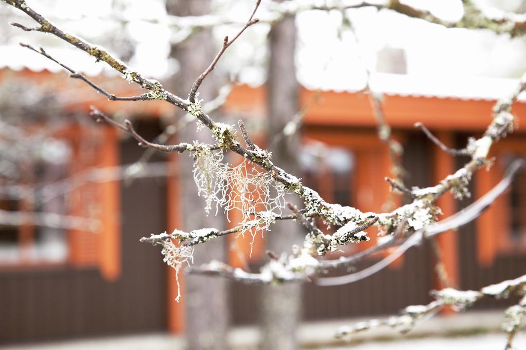 Saariselkae Inn Majatalo Panimo ภายนอก รูปภาพ